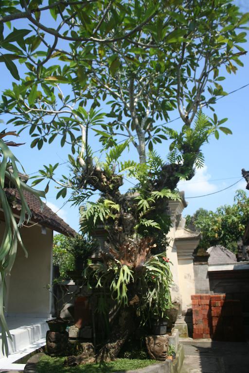 Nugraha Guesthouse 1 Ubud Kültér fotó